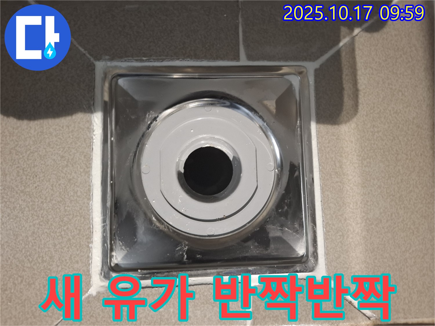 성남시 분당구 봇들마을2단지 아파트에서 새 배수구 유가로 교체하여 누수를 잡았습니다 - 깔끔한 마감으로 더욱 만족하실 겁니다.