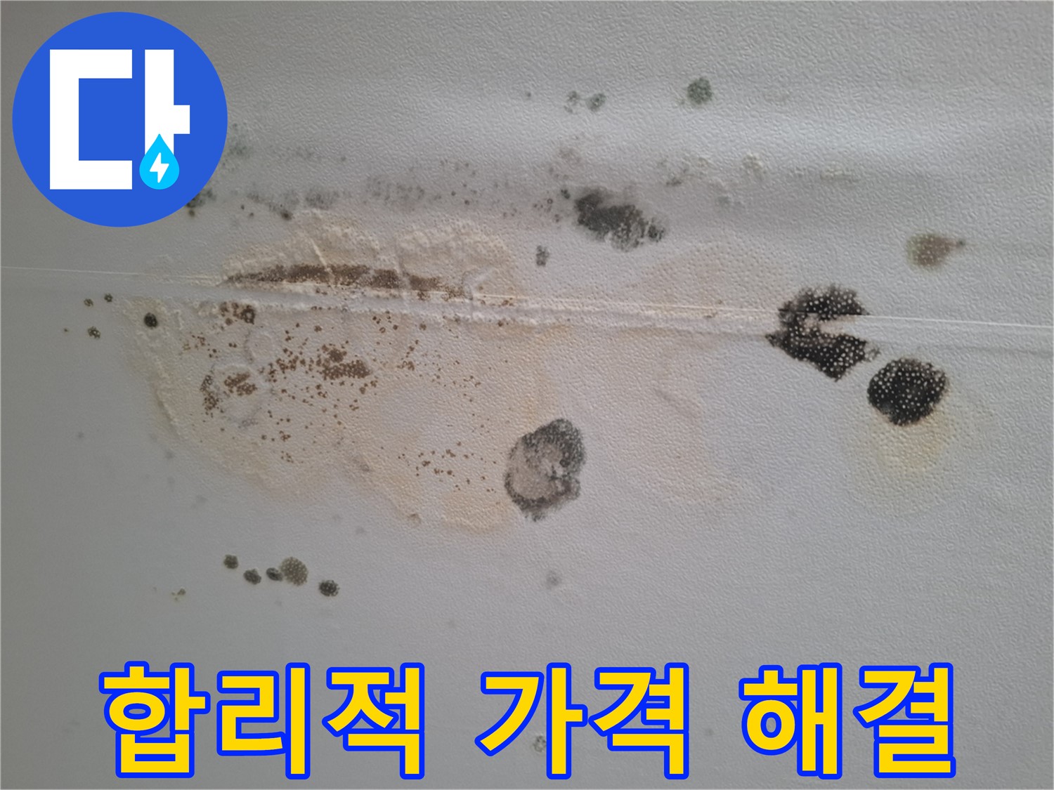 성남시 분당구 삼평동 곰팡이 누수 - 합리적인 가격으로 완벽한 해결을 약속드립니다