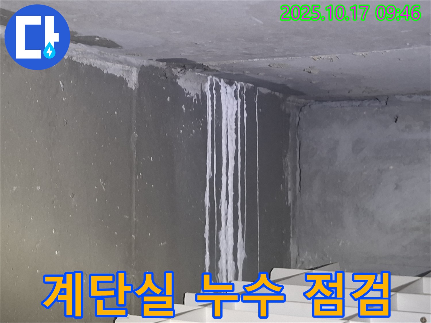 성남시 분당구 삼평동 봇들마을2단지 아파트 계단실 벽면 누수 점검 - 벽면의 석회 자국은 누수의 심각성을 나타냅니다.