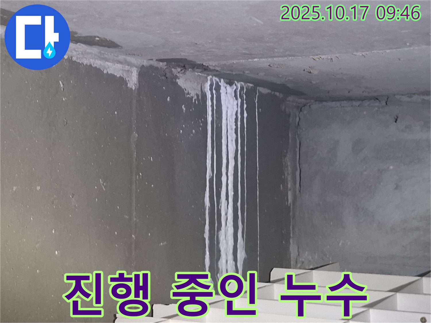 성남시 분당구 삼평동 봇들마을2단지 아파트 계단실 벽면 누수 - 현재 진행 중인 누수로 인해 벽면에 석회수가 흐르고 있습니다.