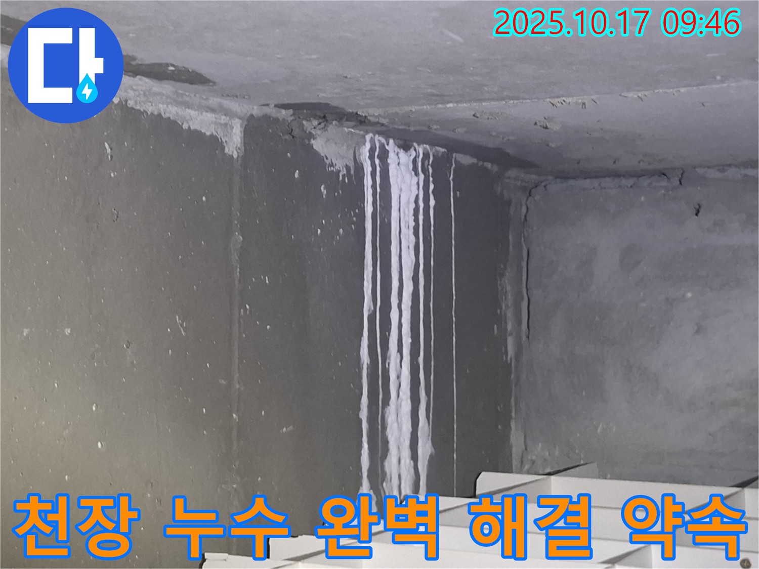 성남시 분당구 삼평동 봇들마을2단지 아파트 계단실 천장 누수 - 누수 문제 완벽 해결을 약속드립니다.