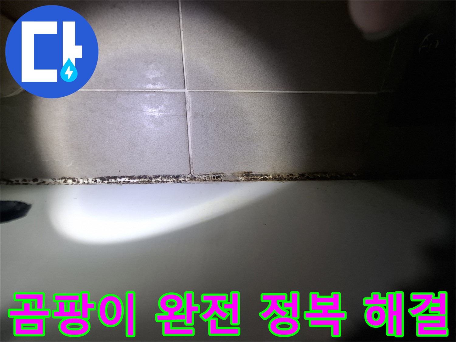 욕조 곰팡이 - 곰팡이 완전 정복을 위한 맞춤 솔루션 제공