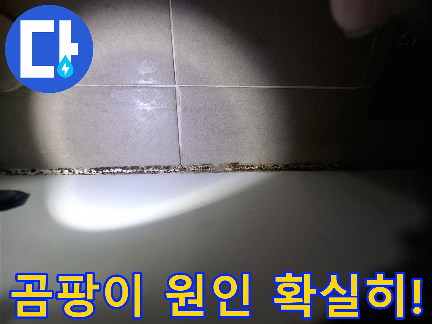 욕조 곰팡이 - 원인부터 확실하게 파악하여 재발 방지