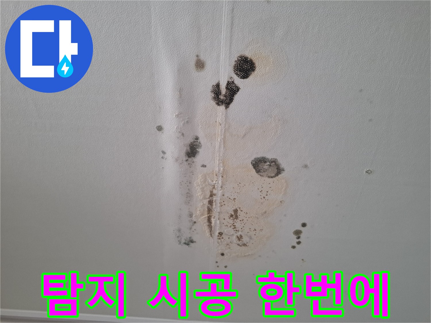 판교 누수 - 누수 탐지부터 곰팡이 제거, 완벽 시공까지 한 번에 해결