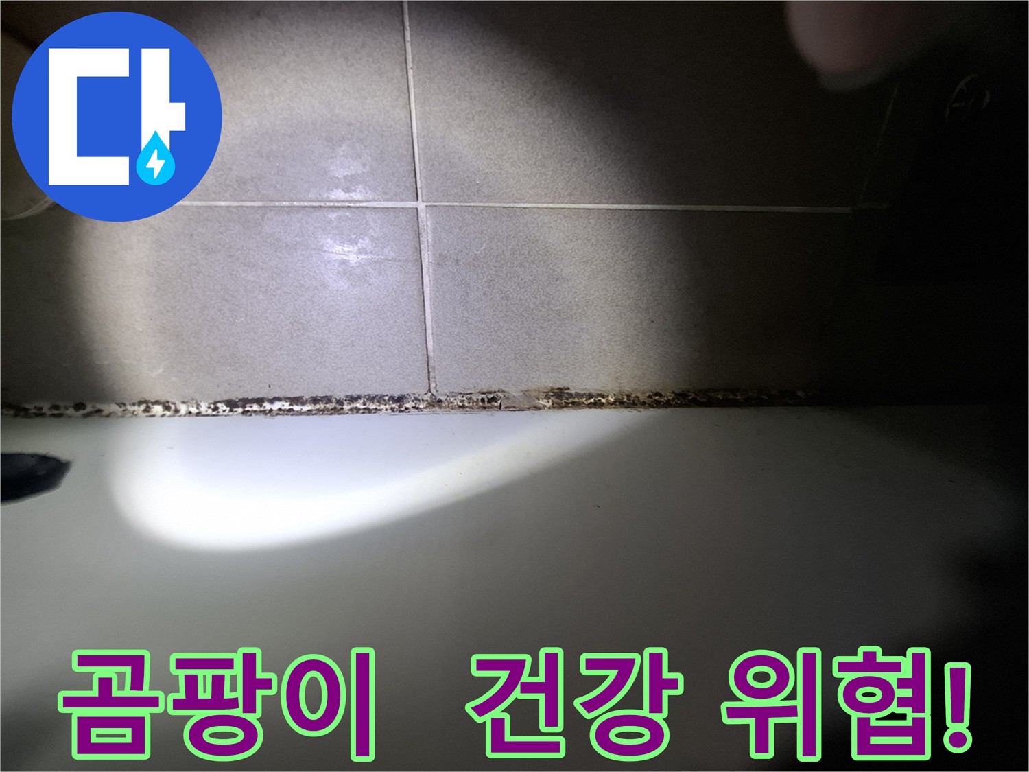 욕조 곰팡이 - 건강에 해로운 곰팡이, 빠른 제거가 필수!