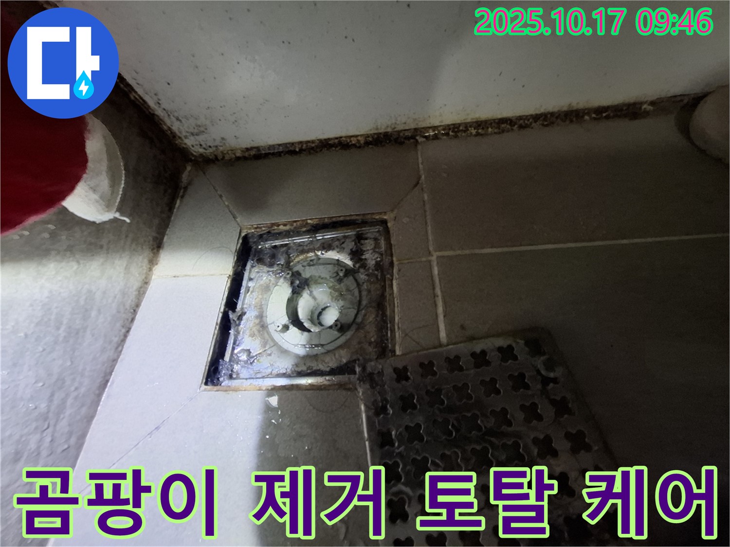 판교 봇들마을 아파트 욕실 배수구 곰팡이 제거 - 누수 방지 토탈 케어 - 쾌적한 욕실 환경을 위한 최고의 선택.