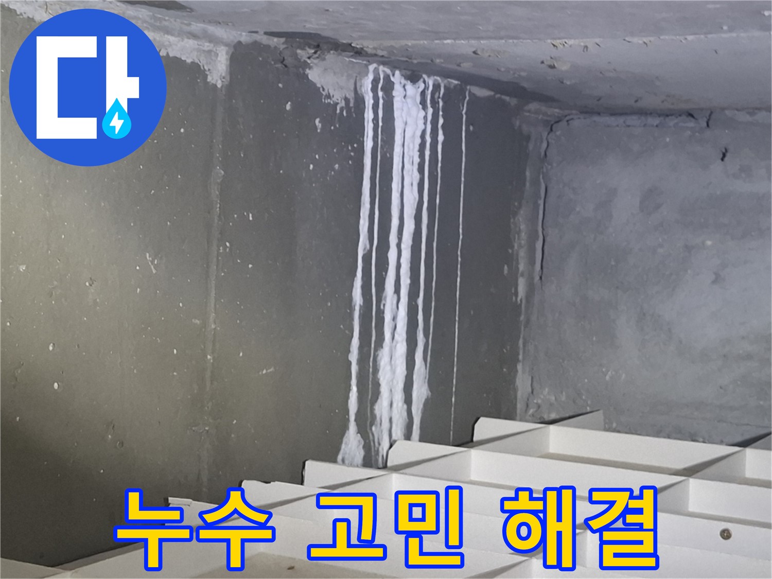 판교 봇들마을2단지 누수 해결 - 완벽 시공으로 누수 고민 해결