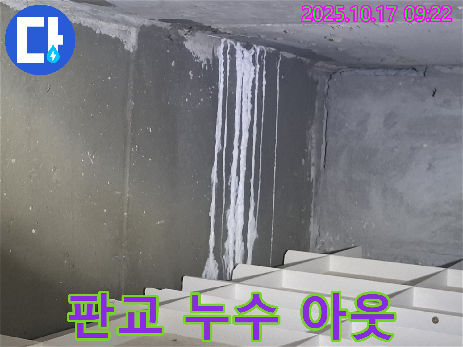 판교 봇들마을2단지 아파트 누수 - 누수 문제를 완전히 해결하기 위한 작업, 확실한 해결을 약속합니다.