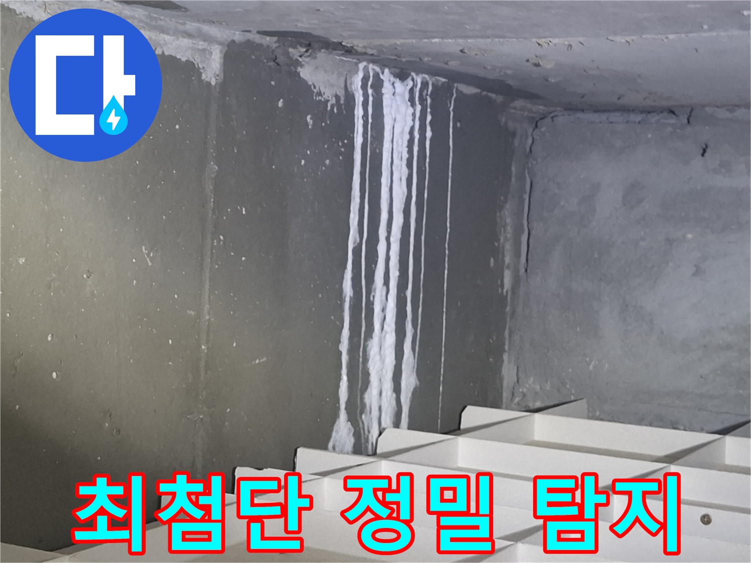 판교 봇들마을2단지 아파트 누수 - 최첨단 장비로 정밀 탐지 시작