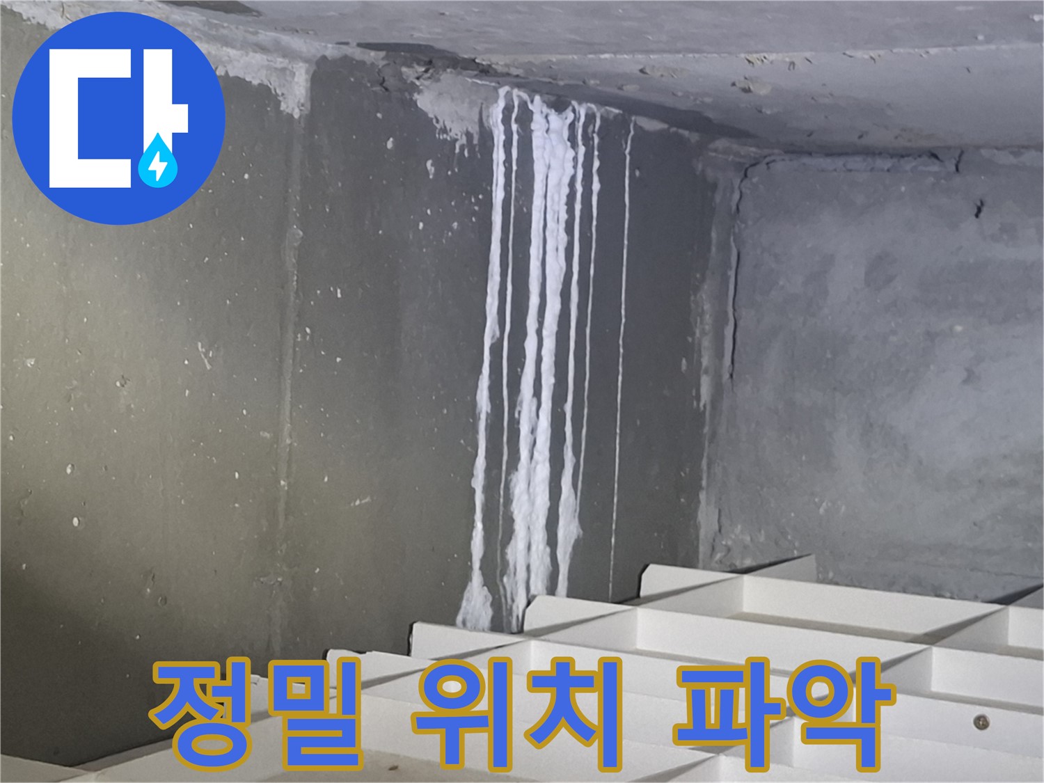 판교 봇들마을2단지 아파트 - 지하 석회 누수, 정밀 탐지로 정확한 위치 파악