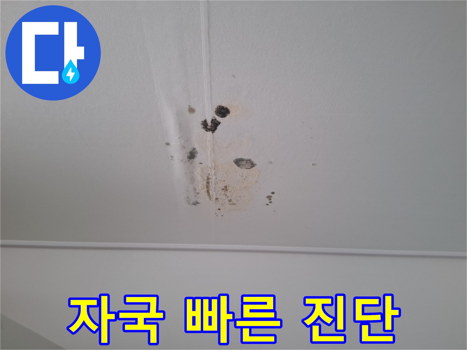 판교 봇들마을2단지 아파트 - 천장 누수 자국 - 빠른 진단으로 피해를 최소화하세요.