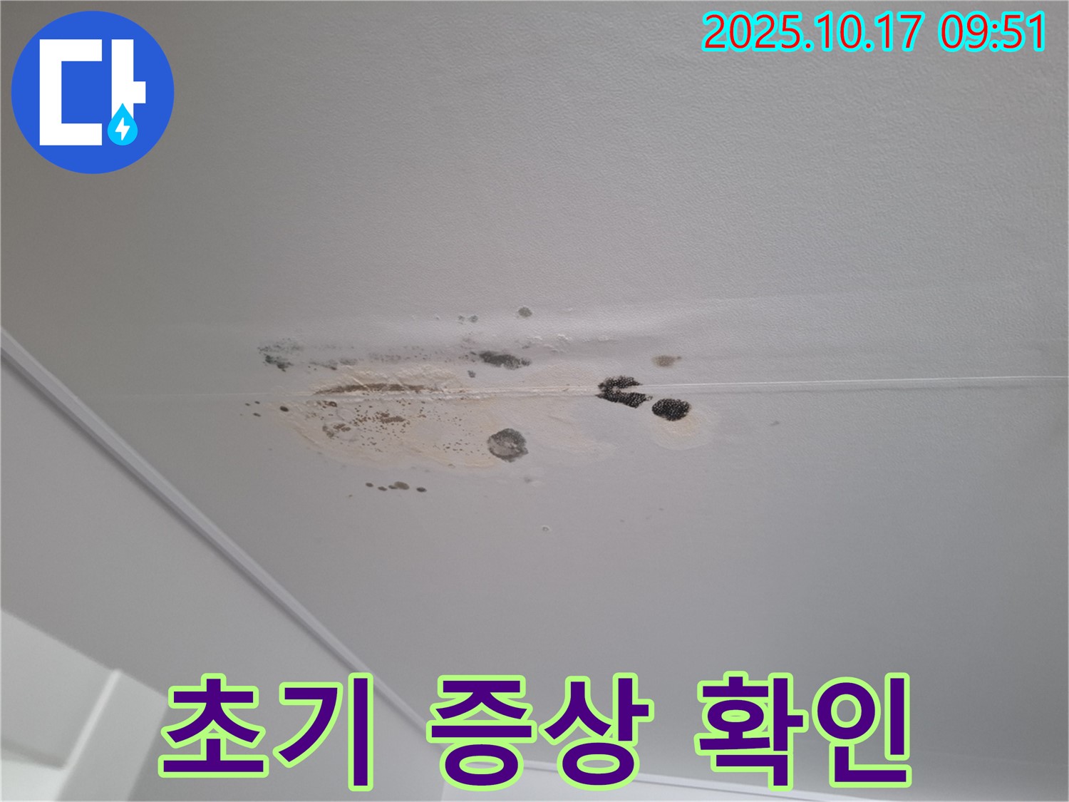 판교 삼평동 누수 - 곰팡이 얼룩진 천장 - 누수 초기 증상 놓치지 마세요