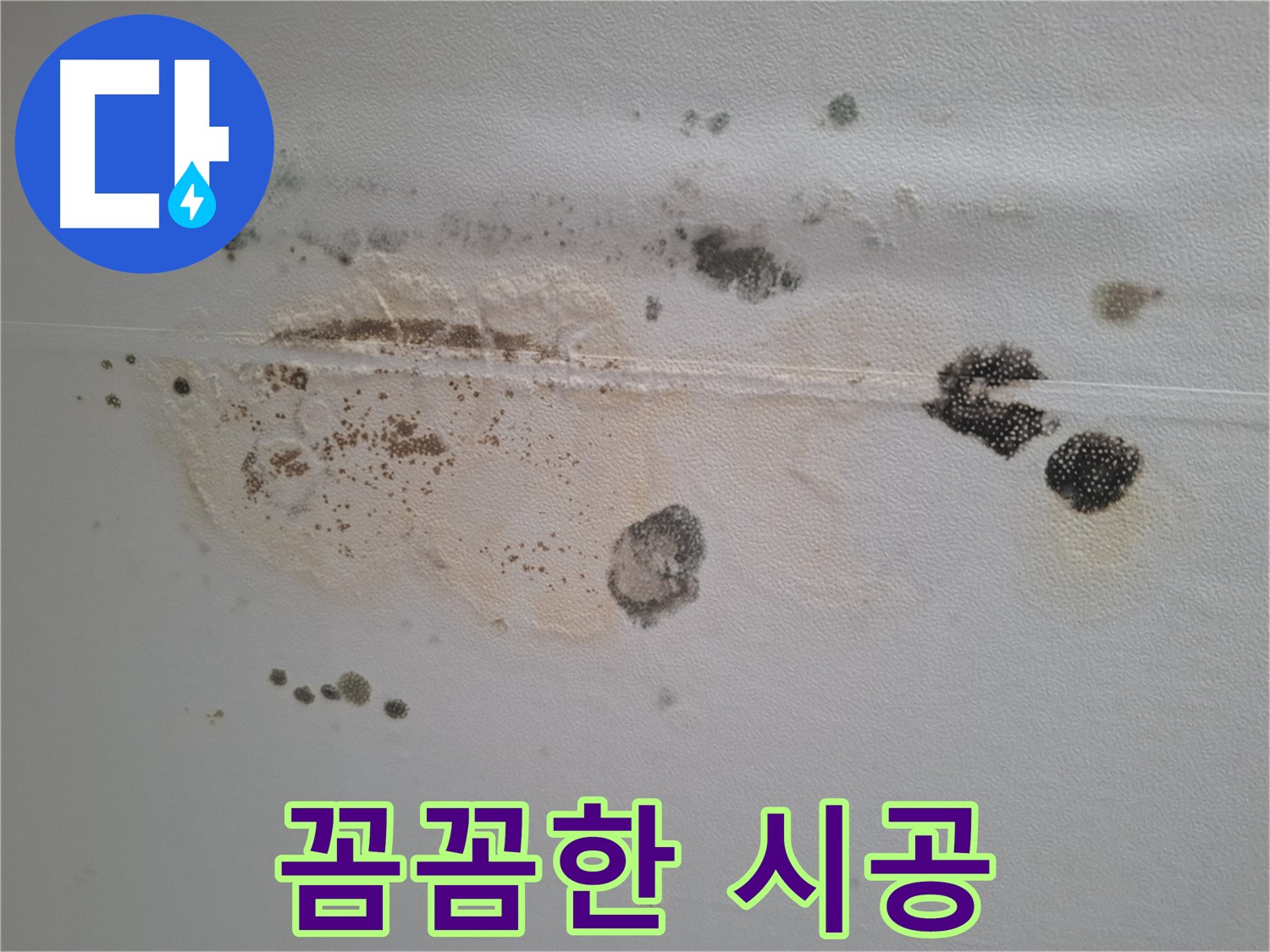 판교 삼평동 누수 - 곰팡이 핀 천장, 꼼꼼한 시공으로 완벽하게 해결