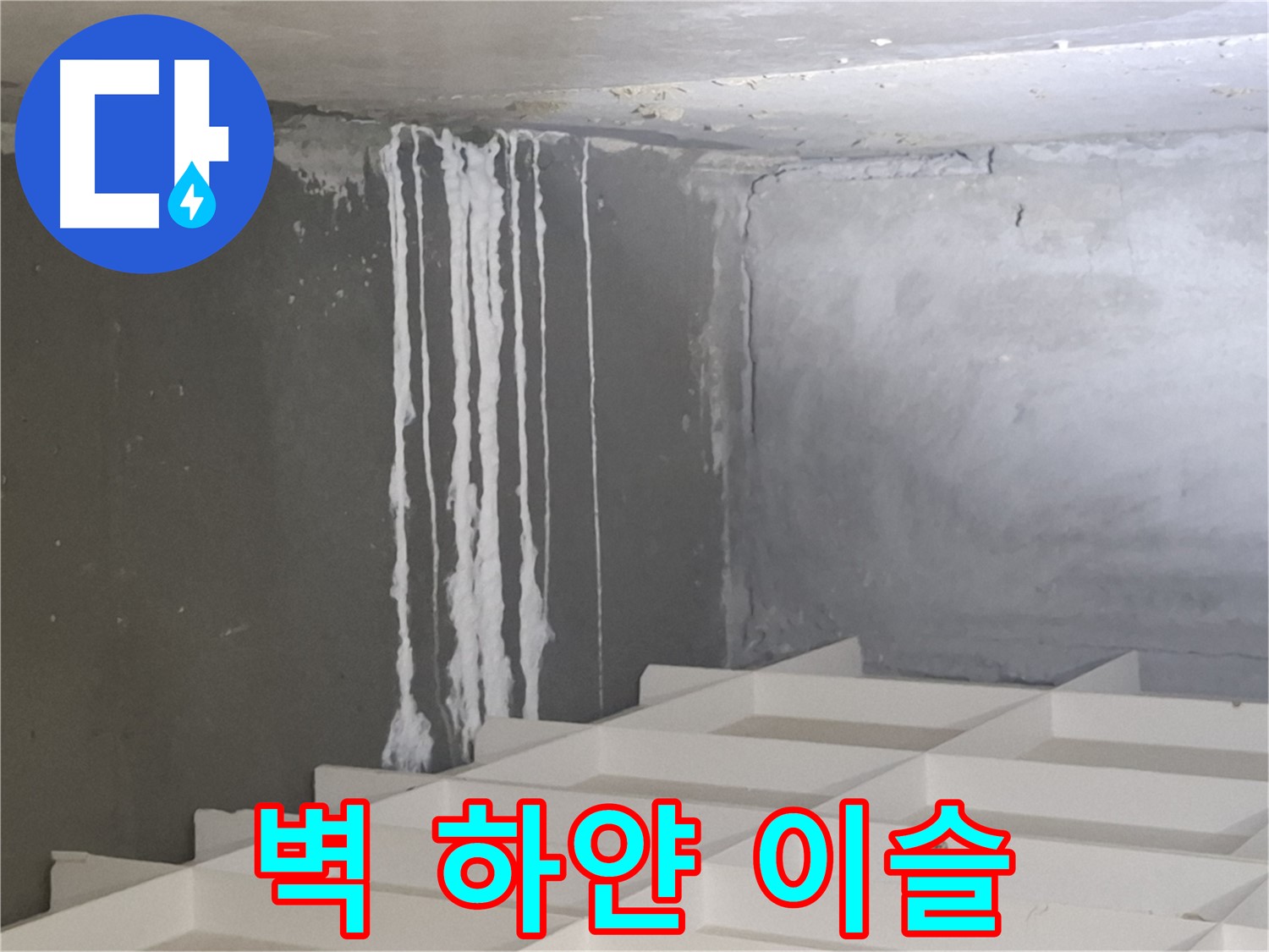 판교 삼평동 누수 - 벽에 맺힌 하얀 이슬, 누수 가능성 긴급 점검 필요