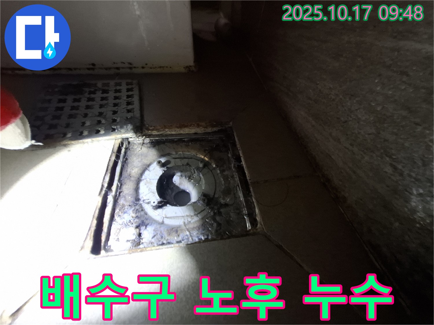 판교 삼평동 봇들마을 2단지 아파트 욕실 배수구 노후로 인한 누수 - 정확한 진단과 신속한 해결로 고객님의 불편을 해소했습니다.