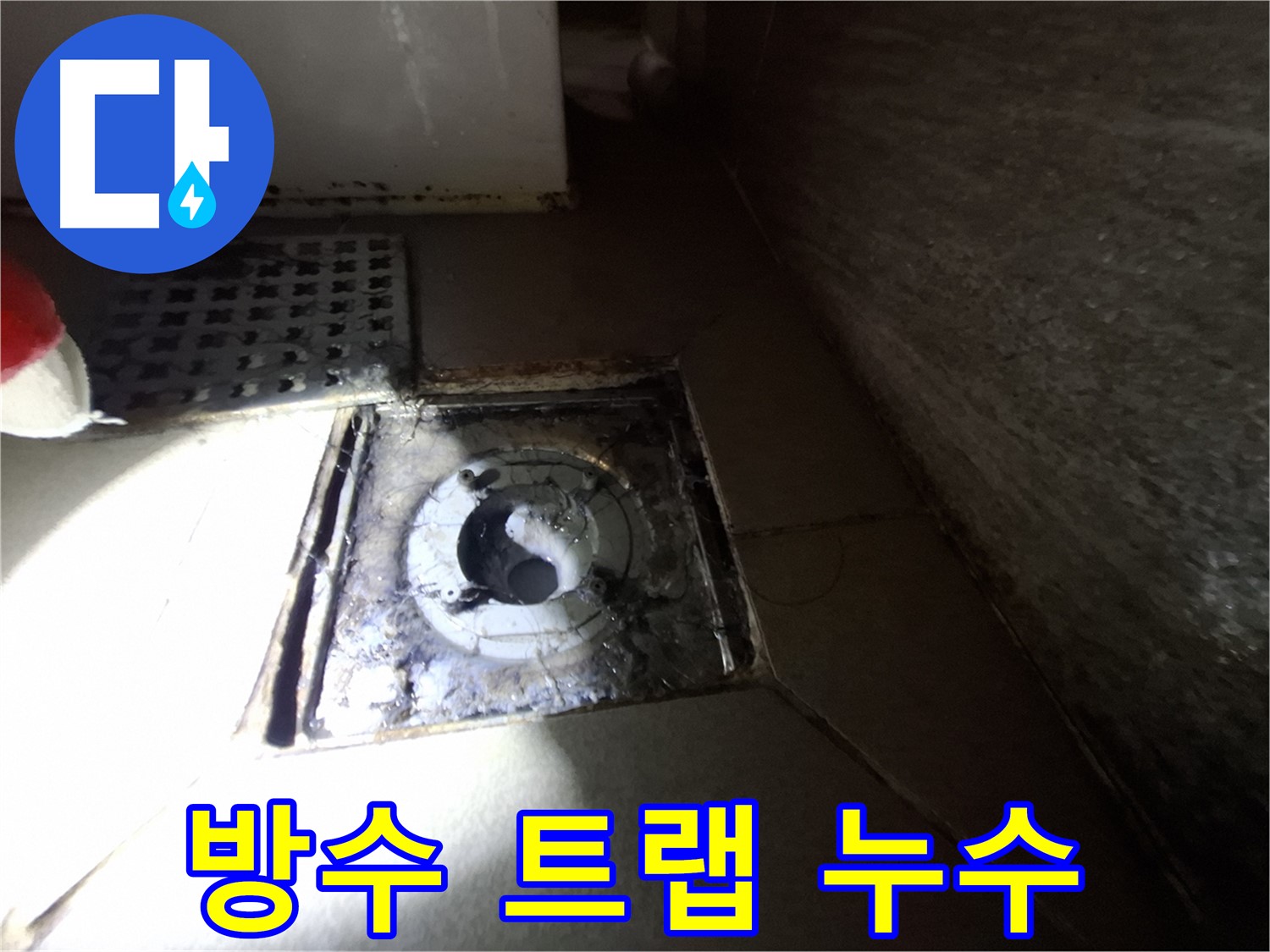 판교 삼평동 봇들마을 욕실 방수층 크랙 - 누수 진단, 트랩 불량과 함께 정밀하게