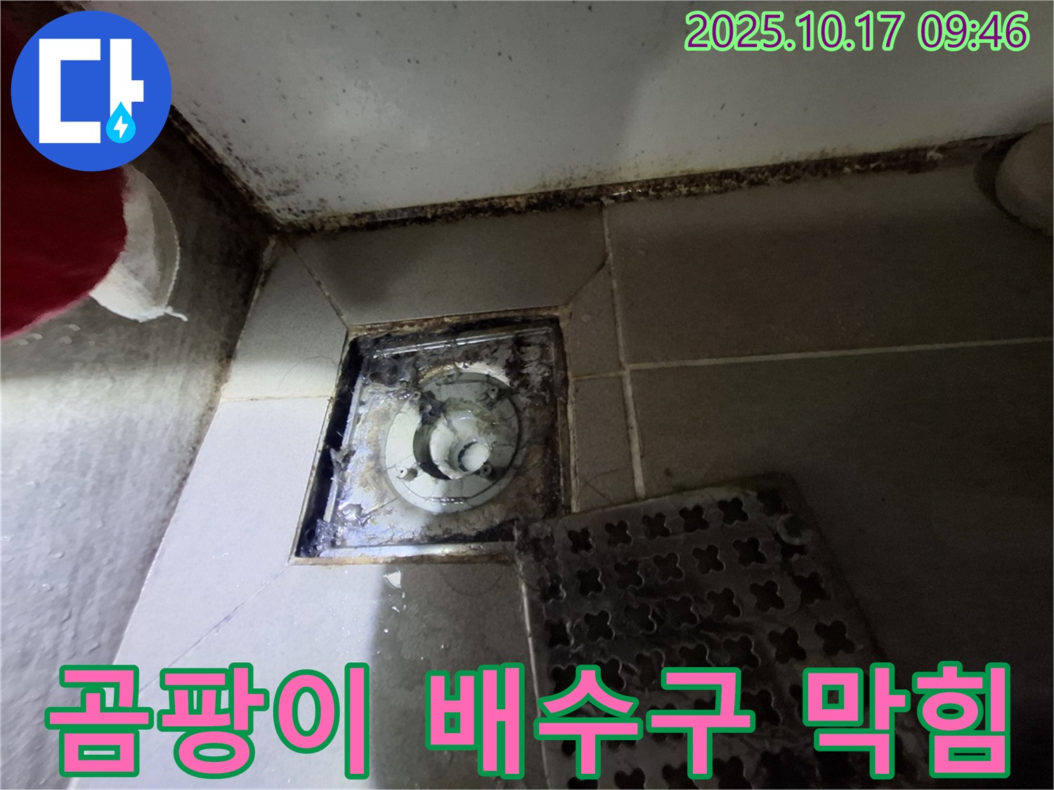 판교 삼평동 봇들마을2단지 아파트 - 심각한 욕실 곰팡이와 배수구 막힘 - 긴급 해결 필요.