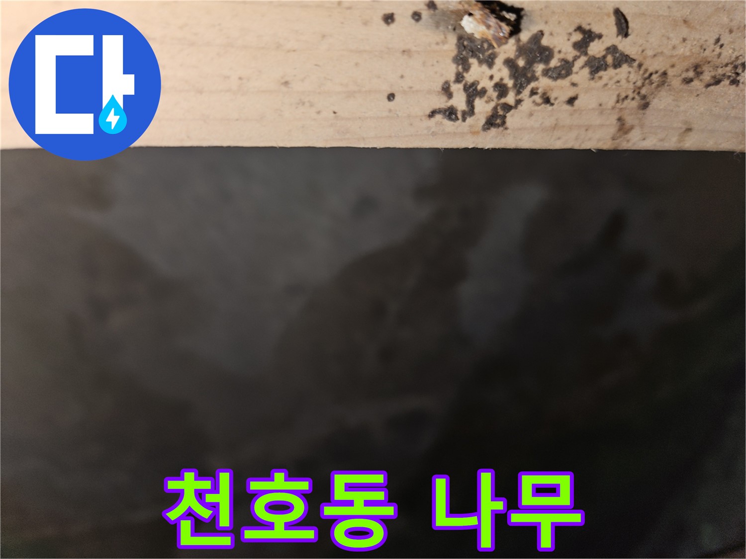 강동구 천호동 누수 - 나무 쪼개진 곳 곰팡이 - 위험
