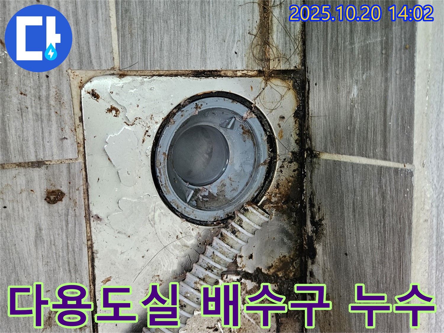 강동구 천호동 다용도실 배수구 누수 문제 - 전문적인 기술과 꼼꼼한 시공으로 완벽하게 해결합니다.