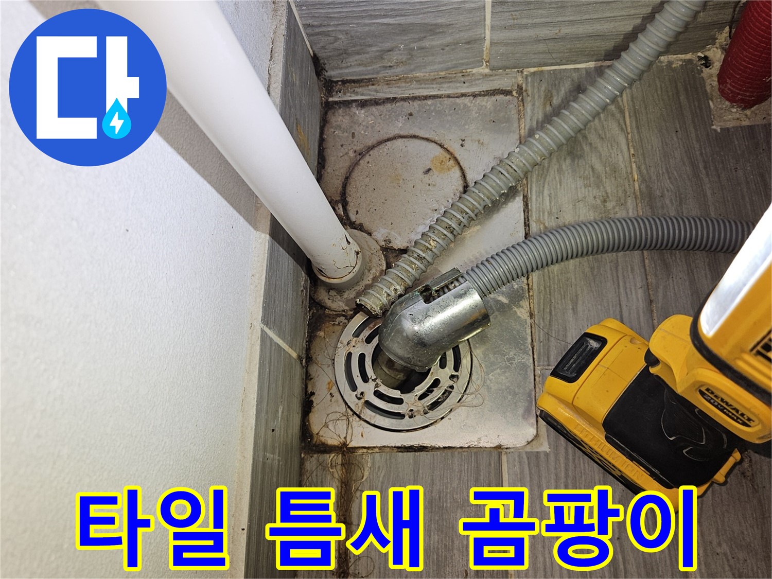 세탁실 배수구 주변 타일 틈새 곰팡이 - 청소 및 방수 필요