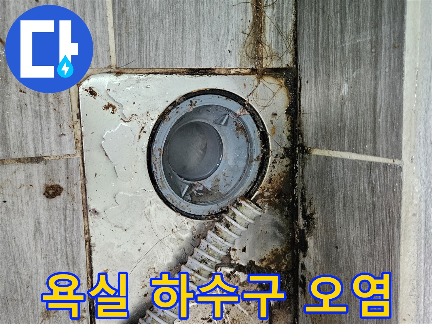 오염된 욕실 하수구 - 누수 가능성이 있는 오염된 하수구 상태 점검