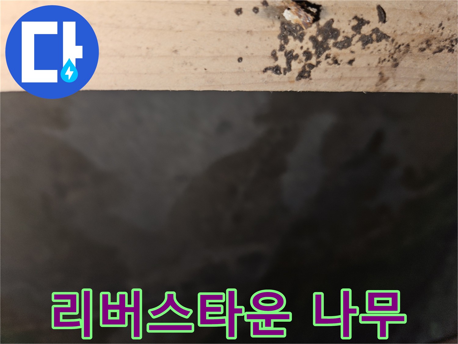 천호동 리버스타운 누수 - 나무 갈라진 곳 점검 - 첨단
