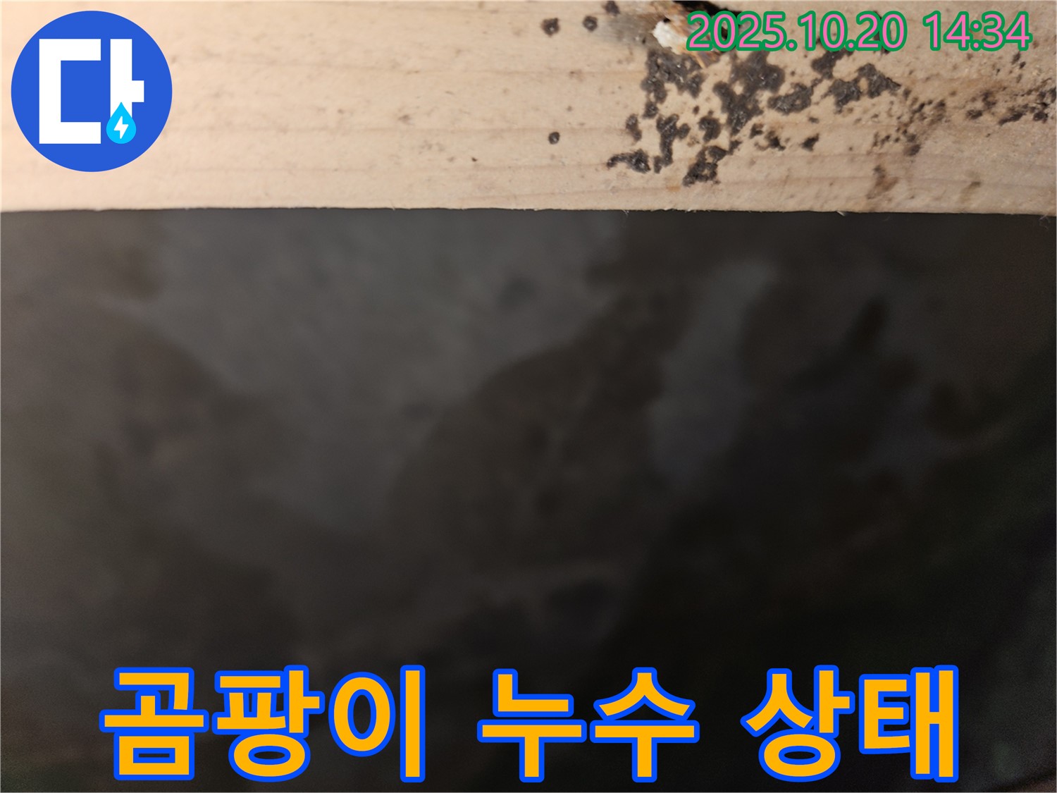 천호동 리버스타운 아파트 곰팡이 누수 - 곰팡이 누수 상태를 자세히 보여주는 이미지입니다.