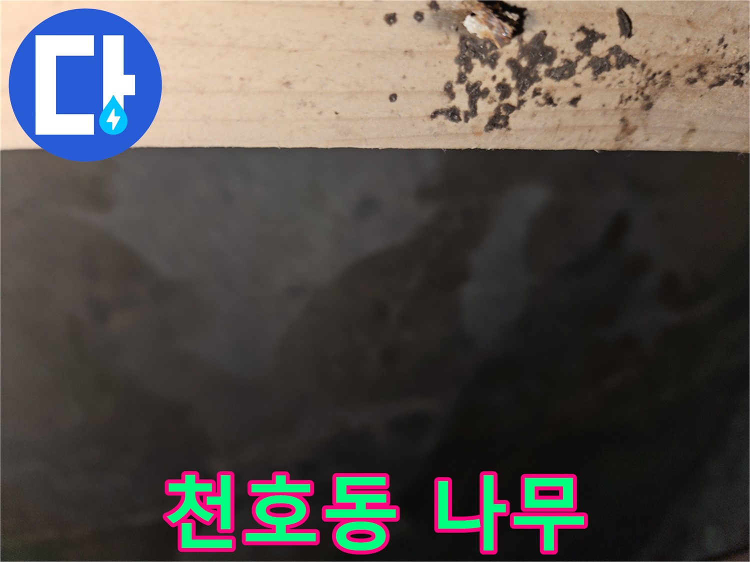 천호동 아파트 누수 - 나무 변색 완벽 차단 - 최고의 결과