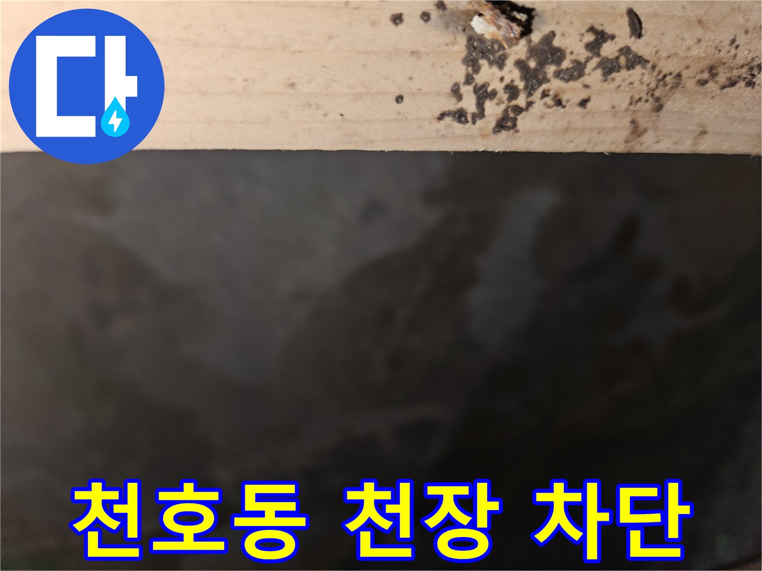 천호동 아파트 누수 - 천장 누수 완벽 차단 - 최고의 결과