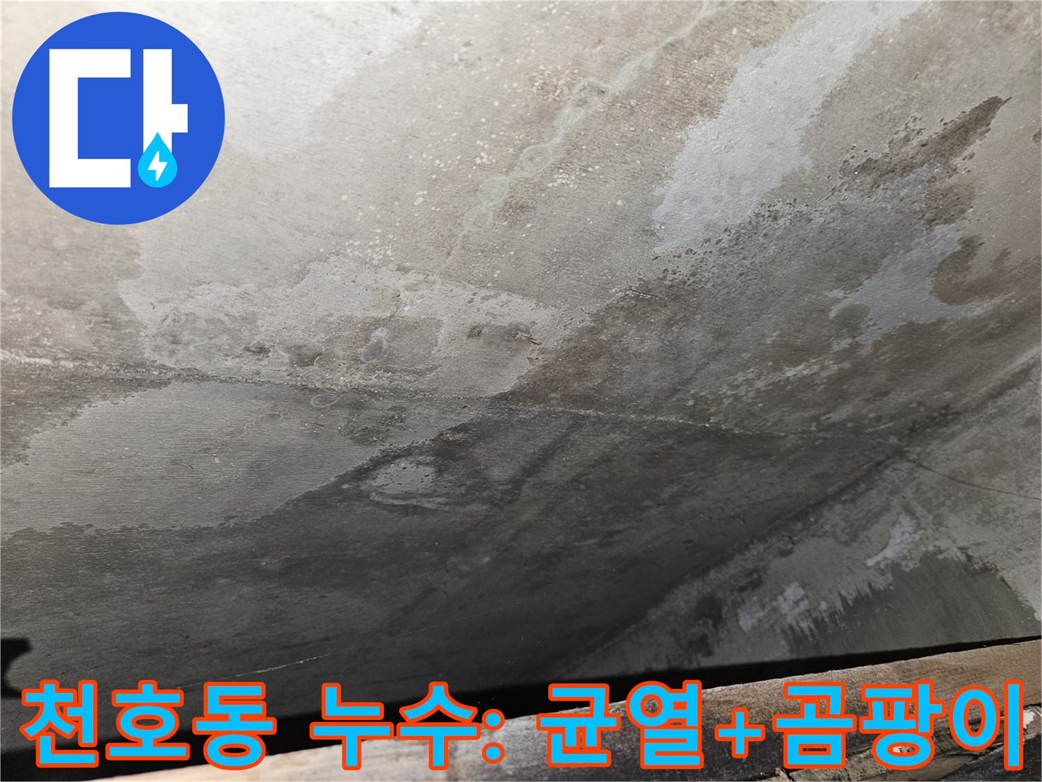 천호동 아파트 누수 - 콘크리트 균열 주변 곰팡이는 누수 증거