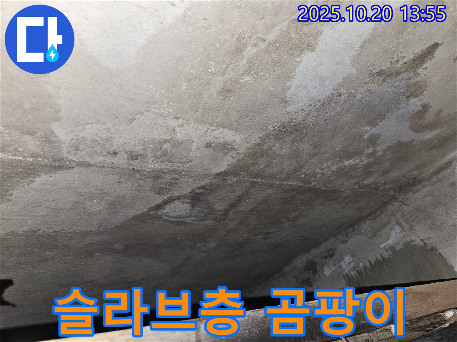 천호동 아파트 슬라브층 누수 - 곰팡이 발생 가능성이 높은 습한 콘크리트 표면 이미지