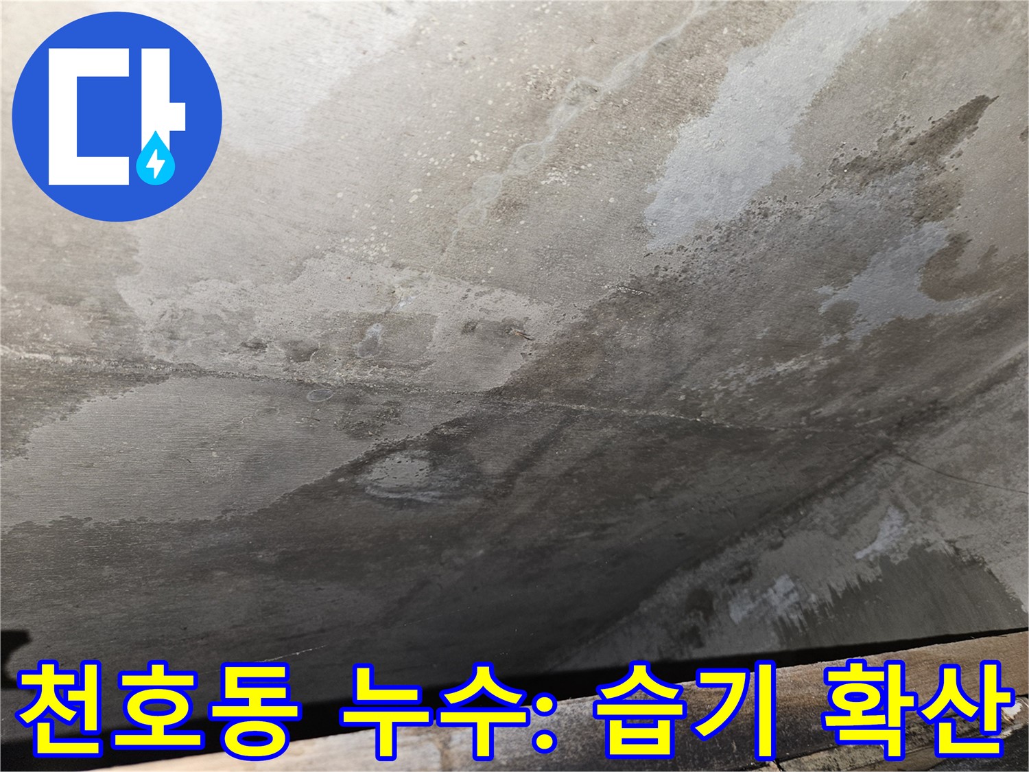 천호동 아파트 콘크리트 누수 - 광범위한 습기 확산은 심각한 누수