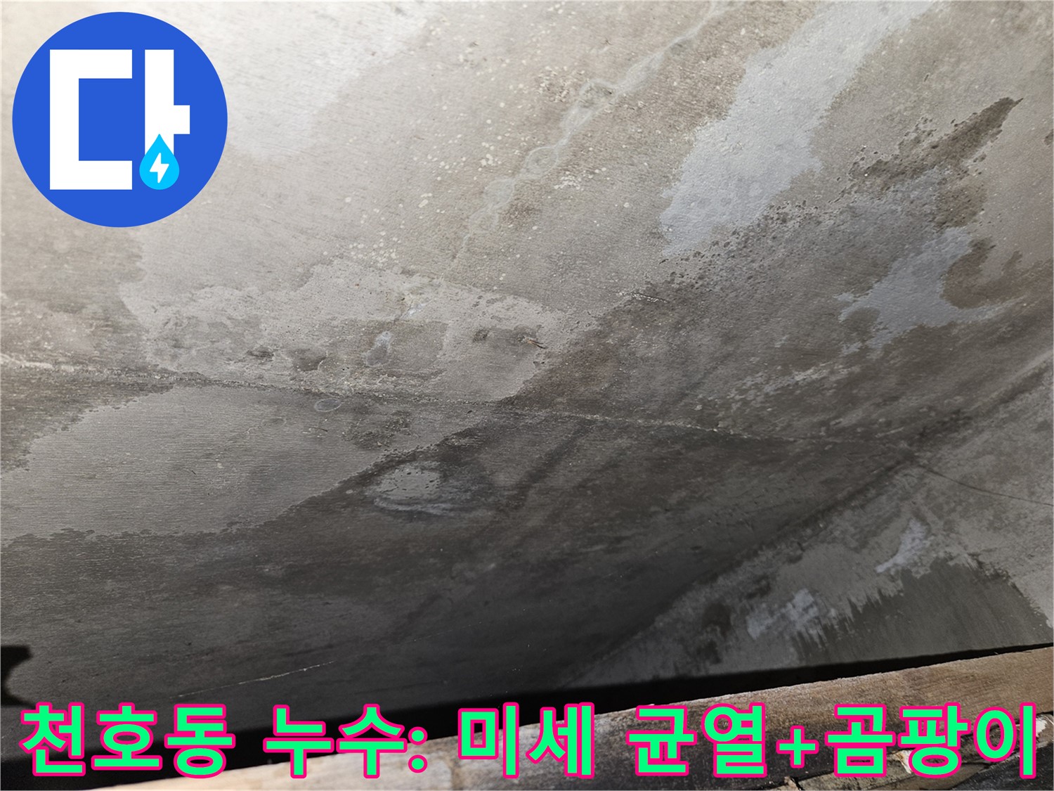 천호동 아파트 콘크리트 누수 - 미세 균열과 곰팡이는 누수 진행 중