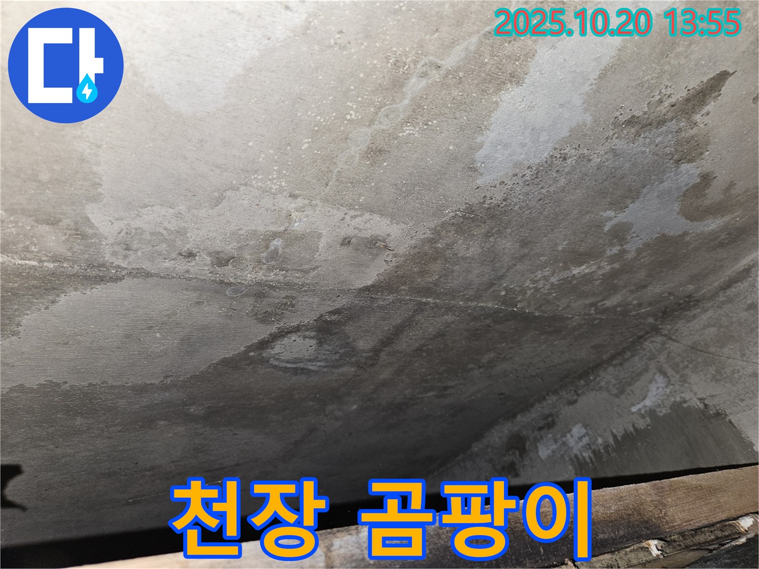 천호동 아파트 콘크리트 천장 누수 - 천장에 곰팡이가 발생한 모습 이미지
