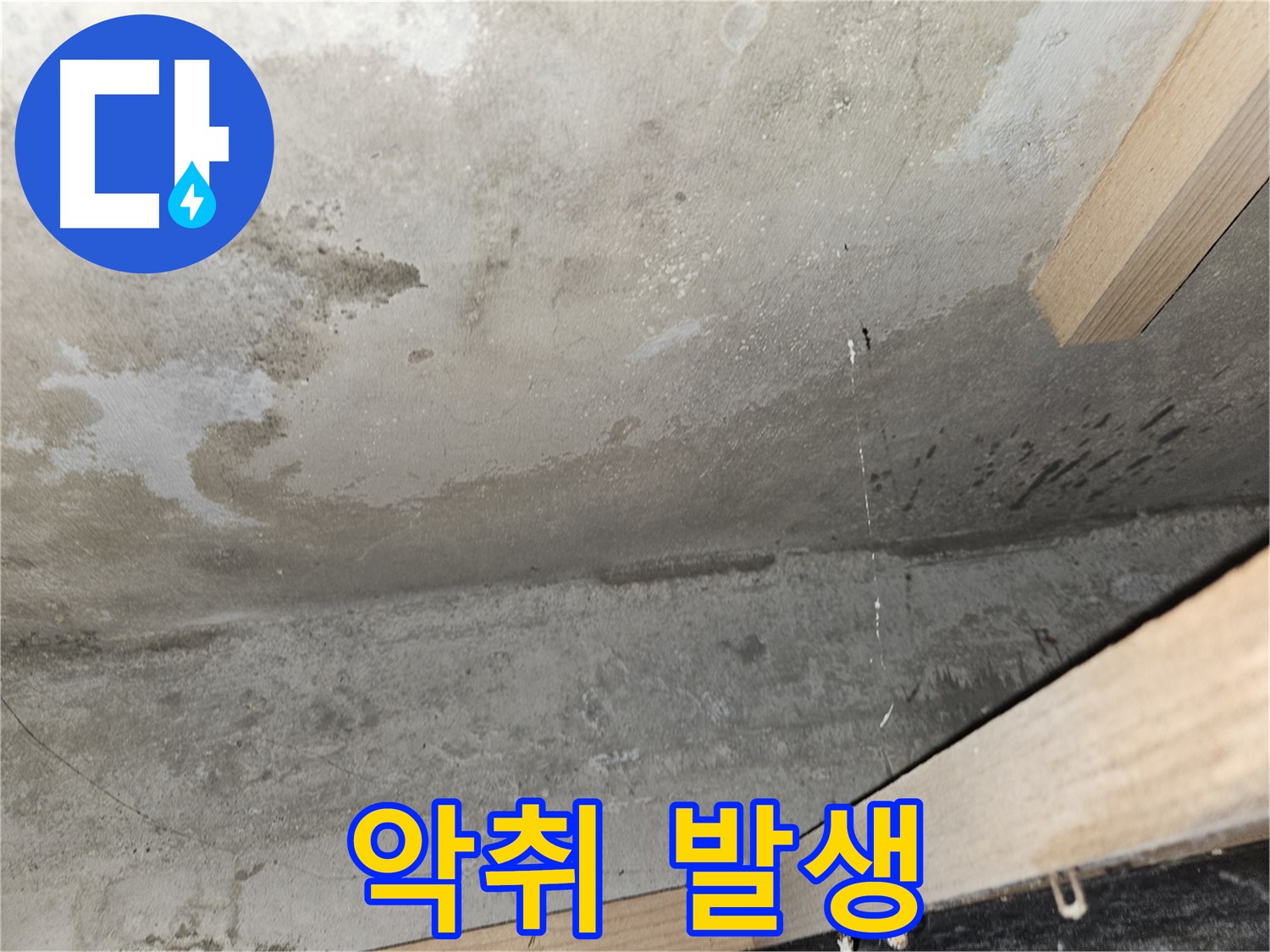 콘크리트 누수로 인한 악취 발생 - 누수로 인해 곰팡이가 번식하여 악취가 발생하는 등 쾌적한 주거 환경을 파괴합니다.