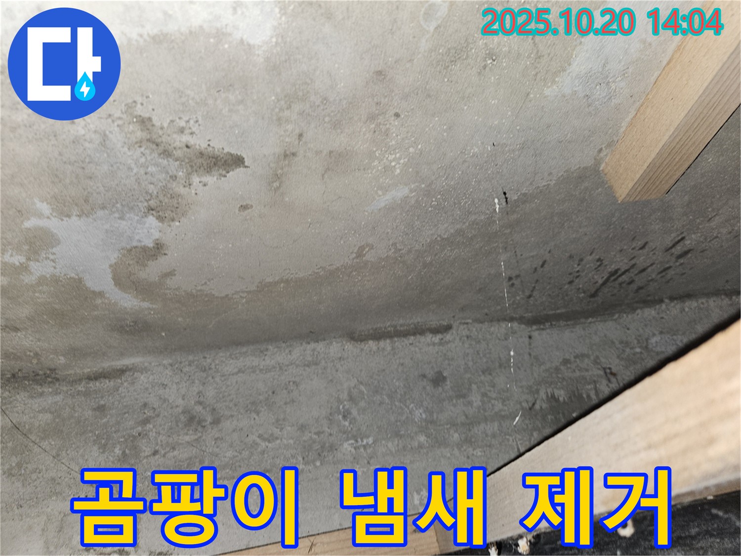 콘크리트 천장 누수 - 곰팡이 냄새 제거