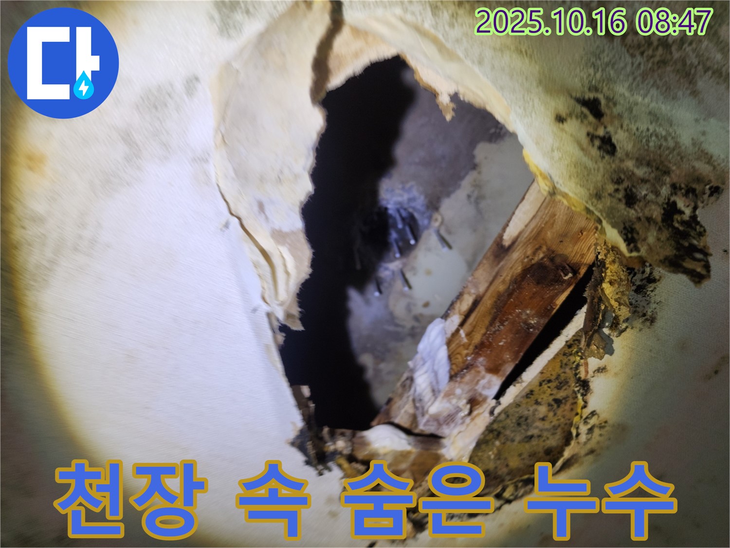 남면 경신리 누수 - 천장 속 숨겨진 누수 - 보이지 않는 곳까지 완벽하게 탐지하는 전문 누수탐지 과정