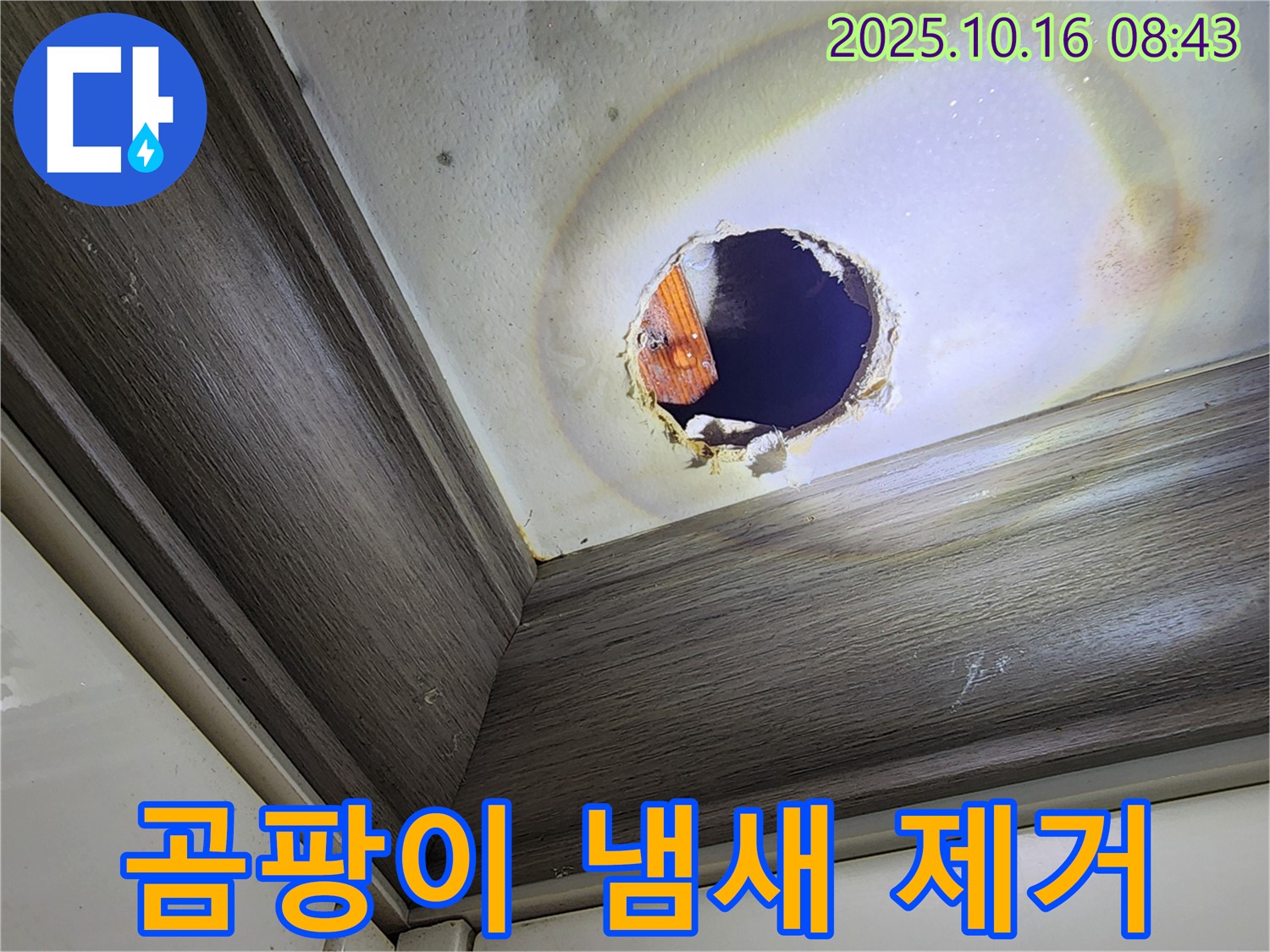 남면 경신리 천장 구멍 속 누수 - 곰팡이 냄새 제거 - 쾌적한 공간으로