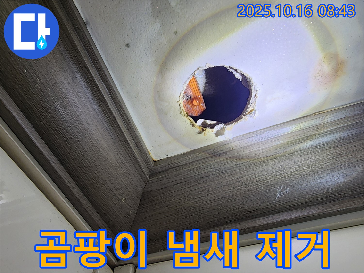 남면 경신리 천장 구멍 속 누수 - 곰팡이 냄새 제거 - 쾌적한 공간으로