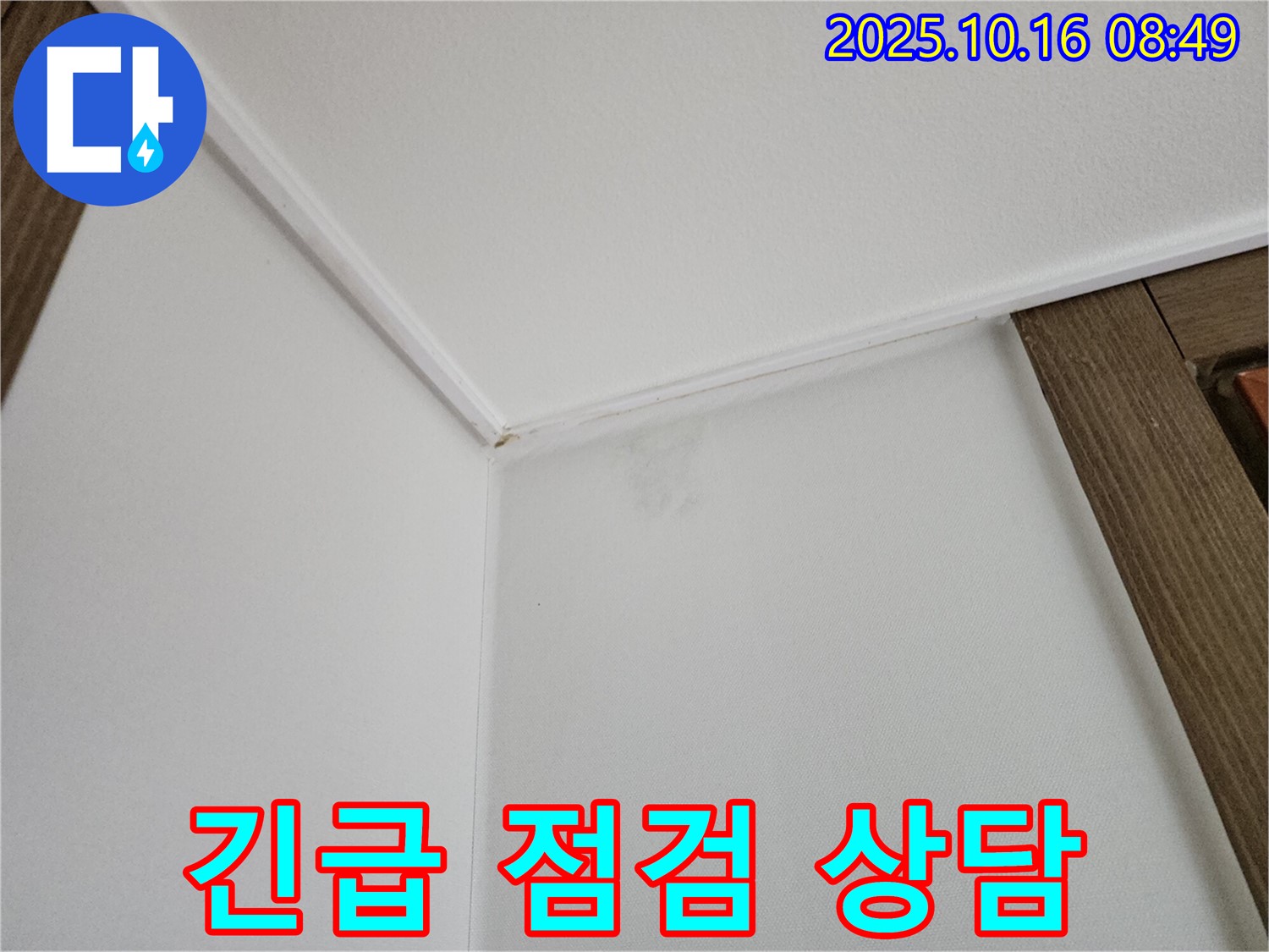 양주 경신리 벽 곰팡이 - 긴급 점검 및 친절한 상담을 제공합니다.