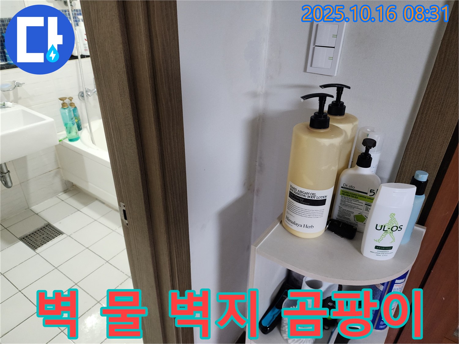 양주 경신리 욕실 누수 - 벽 젖은 벽지와 곰팡이, 누수 의심