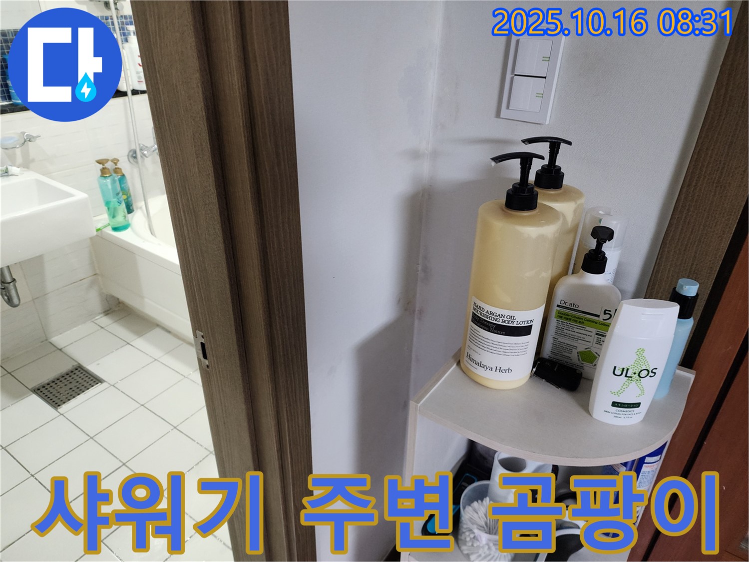 양주 경신리 욕실 누수 - 샤워기 주변 벽 곰팡이, 방수 문제 점검