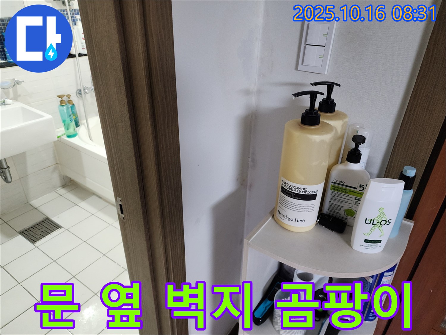 양주 경신리 욕실 누수 - 젖은 벽지와 곰팡이, 누수 가능성 확인