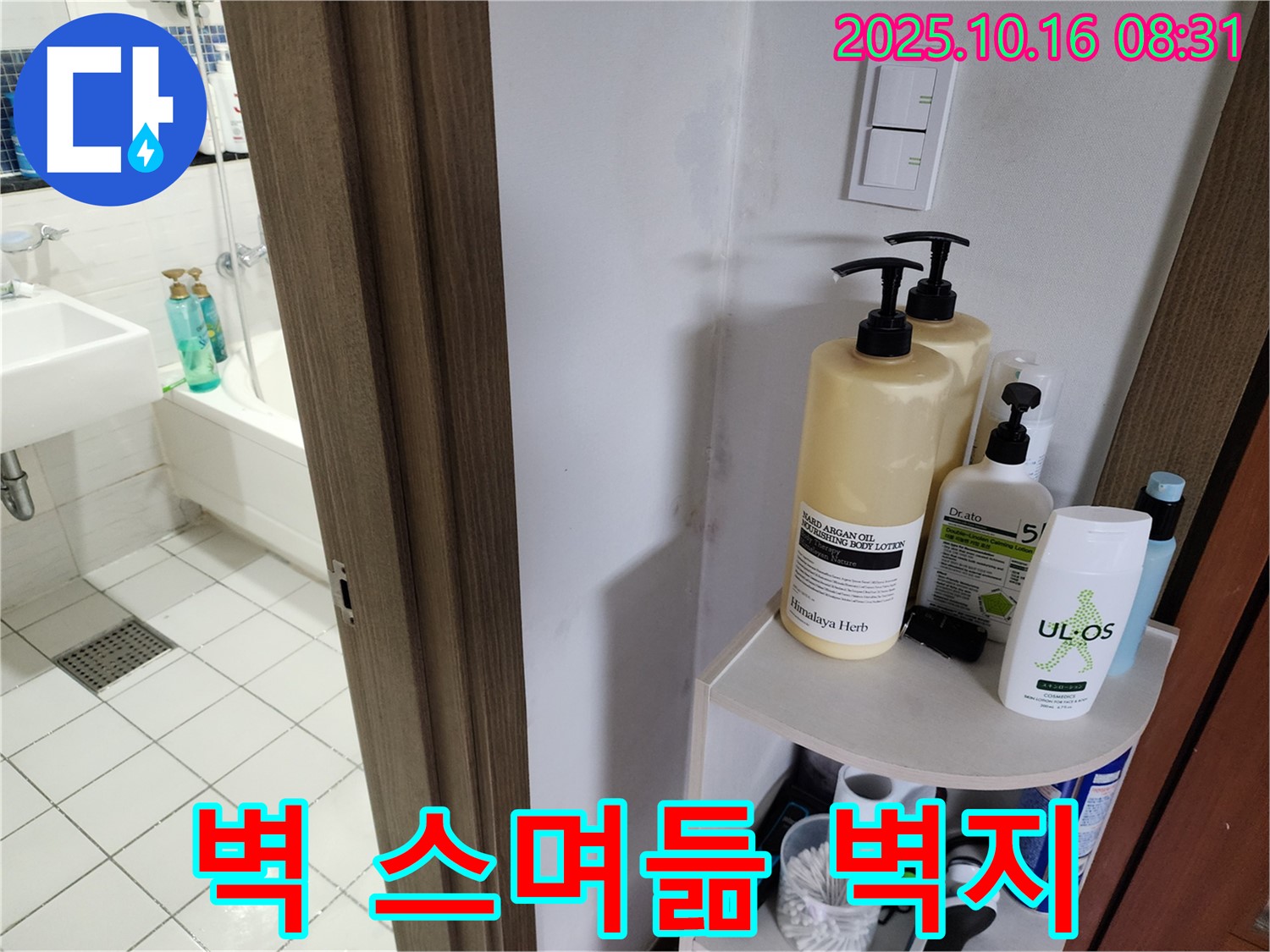 양주 경신리 욕실 누수 - 젖은 벽지와 곰팡이, 누수 가능성 확인