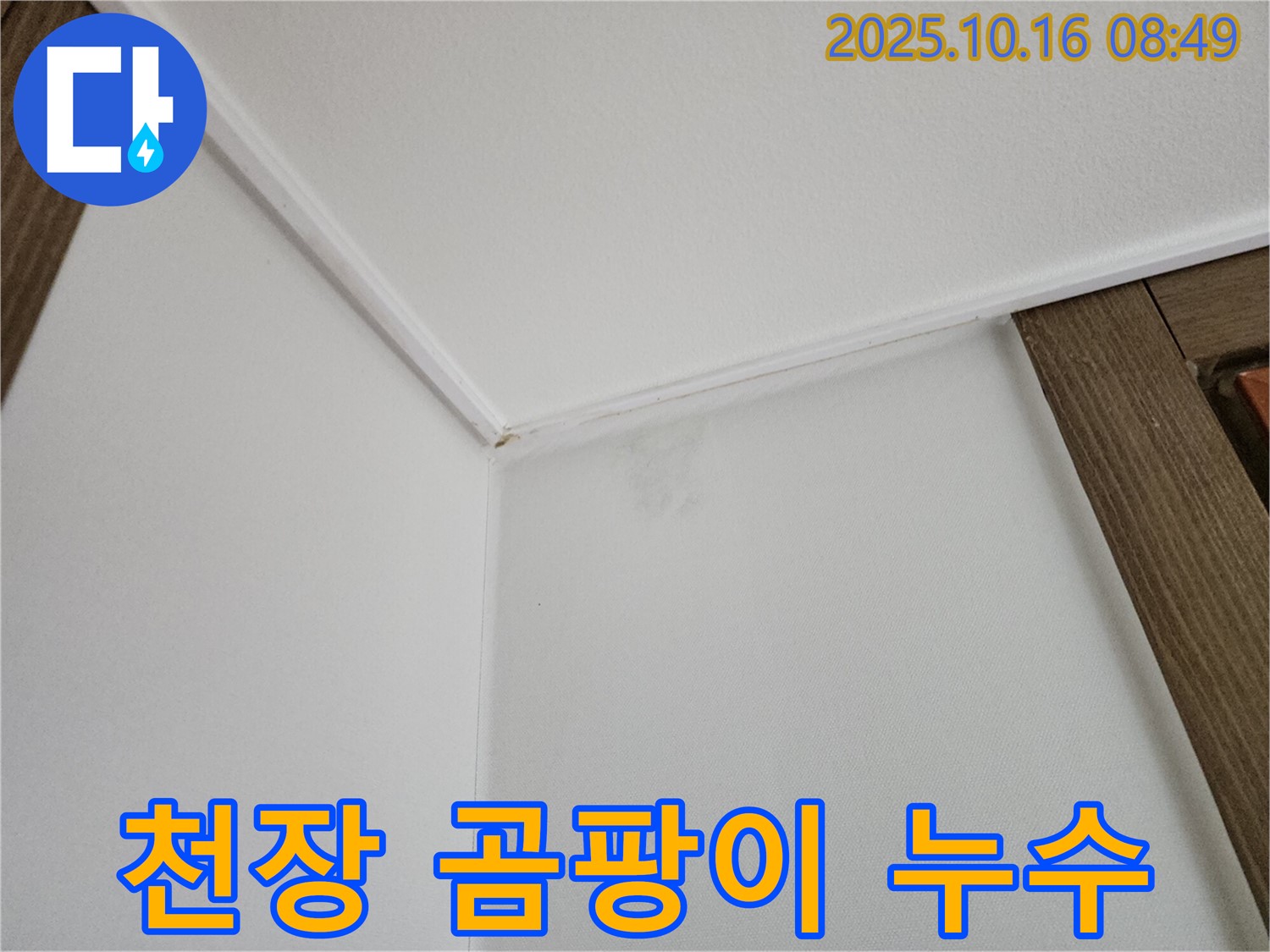 양주 경신리 천장 누수 - 곰팡이 문제와 누수를 동시에 해결해 드립니다.