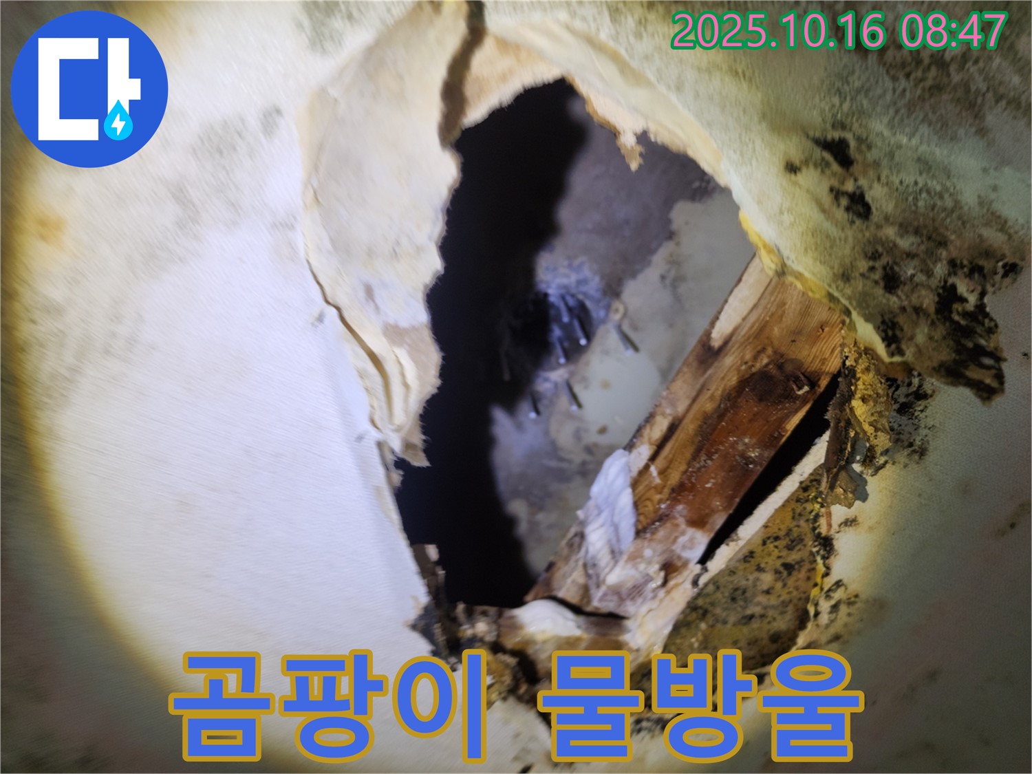 양주 남면 경신리 누수 - 천장 속 곰팡이와 물방울 - 누수 진행 중, 빠른 조치 필요