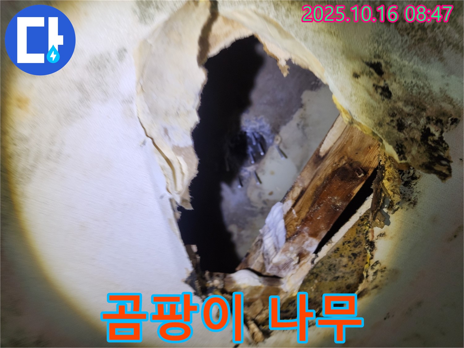 양주 남면 경신리 누수 - 천장 속 곰팡이와 부식된 나무 - 건물 안전에 비상, 긴급 진단 및 완벽 보수를 약속드립니다.
