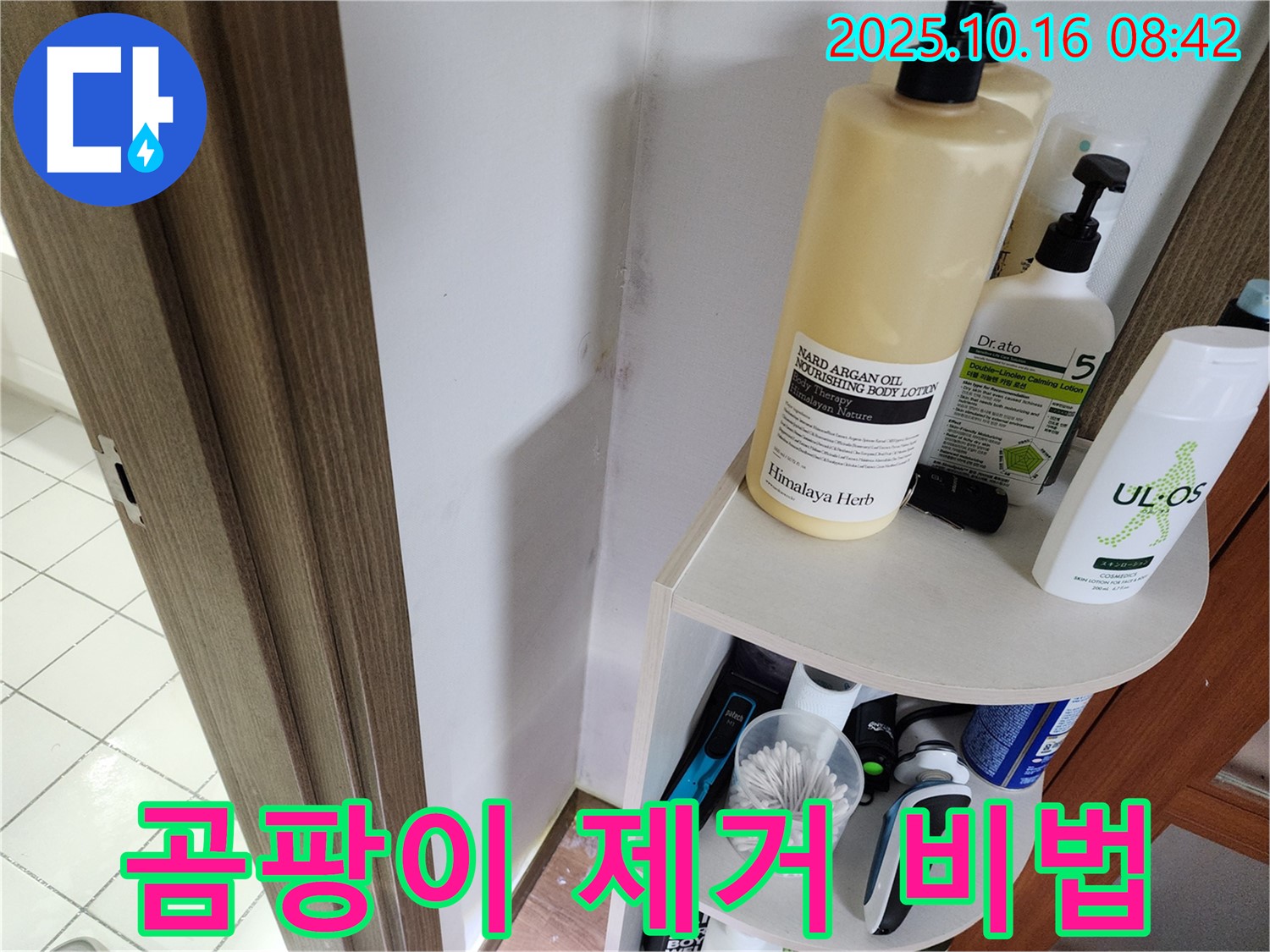 양주 남면 경신리 욕실 곰팡이 - 누수 문제 해결로 완벽하게 없애는 비법 대공개!