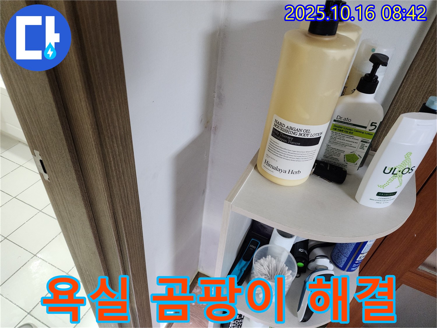 양주 남면 경신리 욕실 곰팡이 - 누수탐지 전문가의 완벽 해결 비법 공개