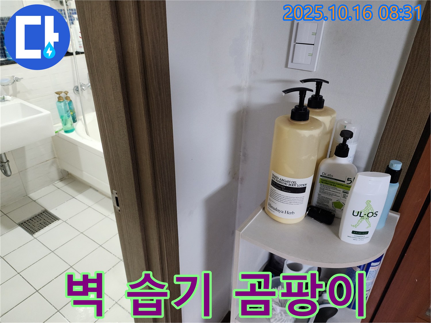 양주 남면 경신리 욕실 누수 - 벽 습기와 곰팡이, 환기 부족